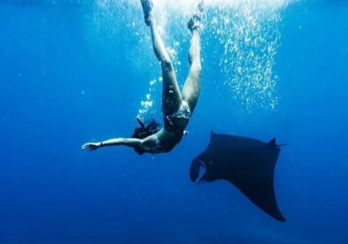 Diving into a dream!Snorkeling Nusa Penida’s crystal-clear magic—just you, the sea, and endless