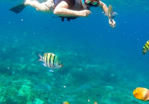 Diving into a dream!Snorkeling Nusa Penida’s crystal-clear magic—just you, the sea, and endless -3