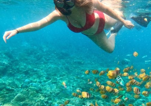 Diving into a dream!Snorkeling Nusa Penida’s crystal-clear magic—just you, the sea, and endless -6